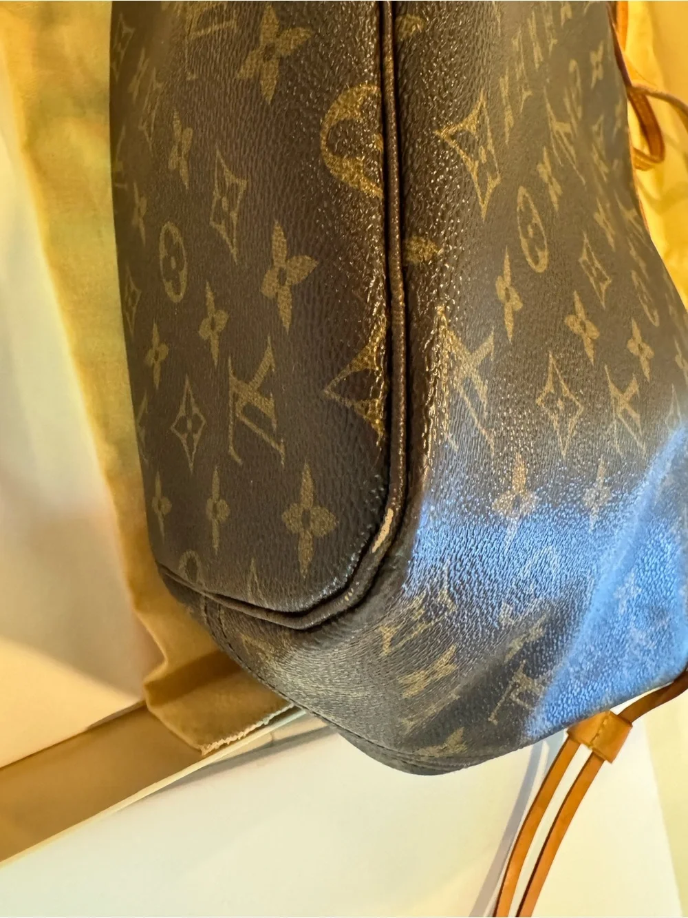 Louis Vuitton Neverfull MM Bag